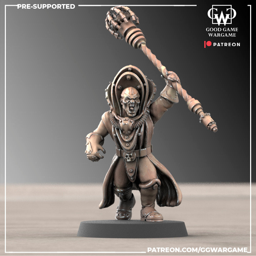 12 x Cult of the Stealers of Genes - Infantry - GSC
