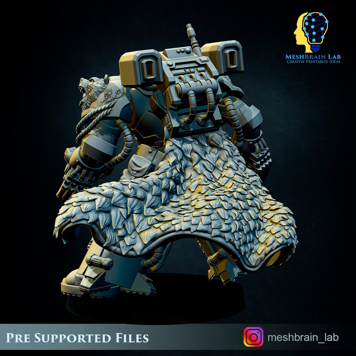 Imperial Marine Master of The Order of The Beast - Marine of Space - Big Lightning Claws